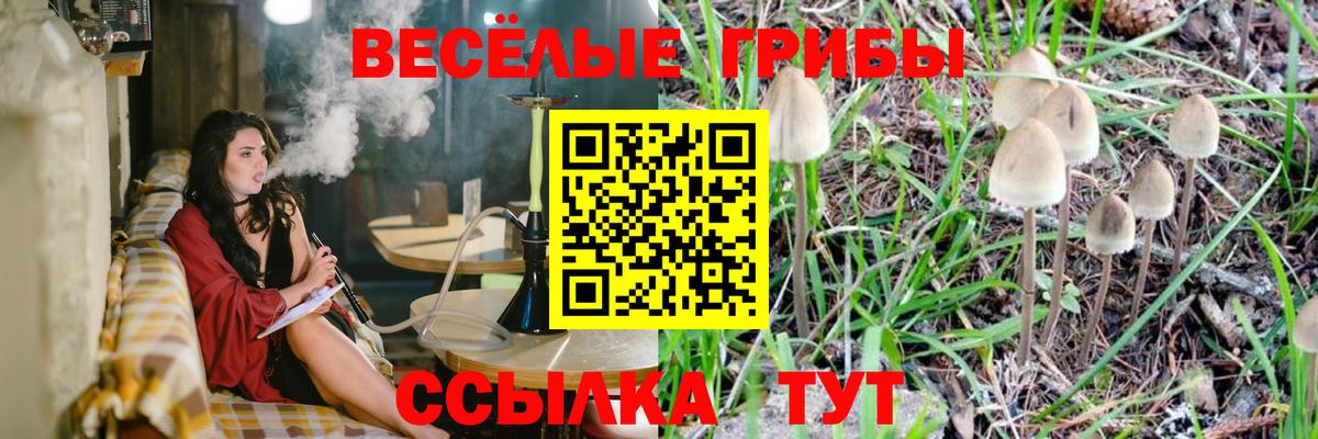 Псилоцибиновые грибы прущие грибы Новодвинск
