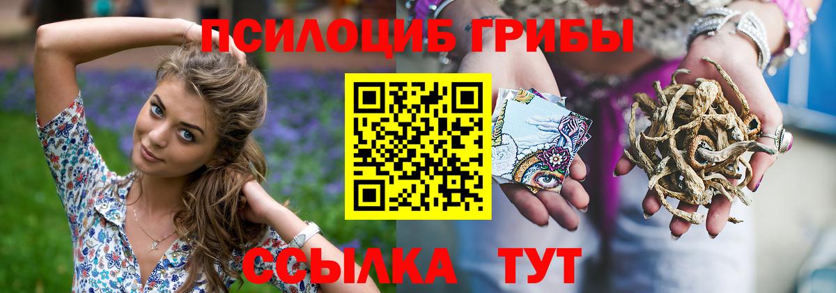 Новодвинск  Галлюциногенные грибы GOLDEN TEACHER  Вход с VPN 